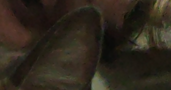 ophélie pet sitter à CENON 33150