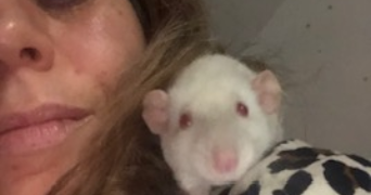 marie pet sitter à VILLEBON SUR YVETTE 91140_2