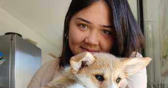 léonie pet sitter à EPRON 14610_0