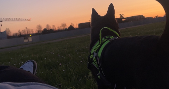 sofia pet sitter à LE BOURGET 93350_8
