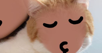 aley pet sitter à NANTERRE 92000_0