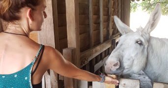 morgane pet sitter à BORDEAUX 33800_3