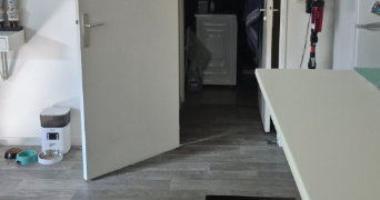 pier paolo pet sitter à BOIS GUILLAUME 76230_7