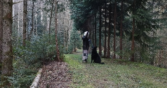 samm pet sitter à STRASBOURG 67000_7