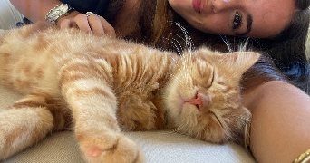 nina pet sitter à VILLE D AVRAY 92410_1