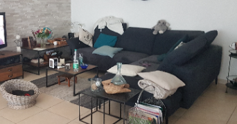 francine pet sitter à VILLEMOLAQUE 66300_1