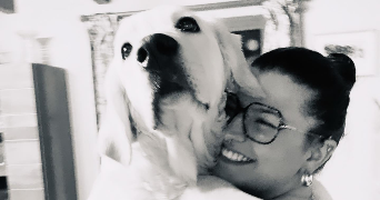lucie pet sitter à LES ATTAQUES 62730_0