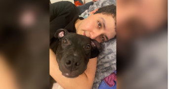 stiven pet sitter à ATHIS MONS 91200_8