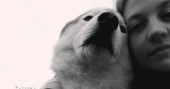 laura pet sitter à RENNES 35200_3