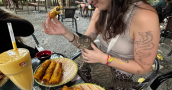 sarah pet sitter à GRENOBLE 38000_2