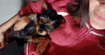 théa pet sitter à LES ALLUETS LE ROI 78580_2