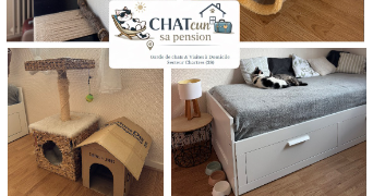 ophelie cat sitter à CHARTRES 28000_32