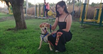 ana pet sitter à COLOMIERS 31770_3