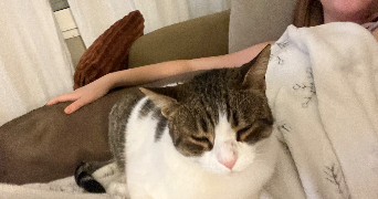 mathilde pet sitter à AUBAGNE 13400_2