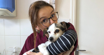 valentine pet sitter à RENNES 35000_1