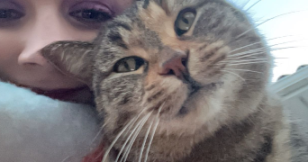 marine pet sitter à CUGNAUX 31270_0