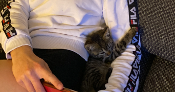 emma pet sitter à FLEURY LES AUBRAIS 45400_4