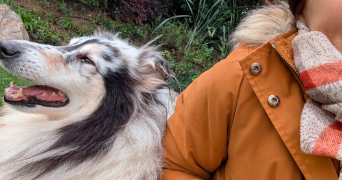 gaëlle pet sitter à LES PENNES MIRABEAU 13170_2