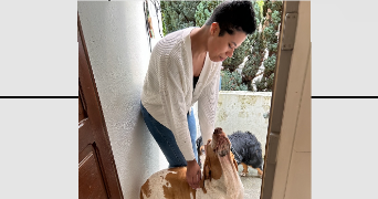 julie pet sitter à CLAMART 92140_0