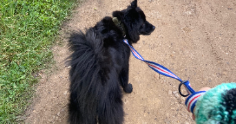 marine pet sitter à PARIS 15 75015_3