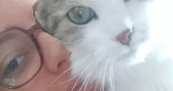 romane pet sitter à PLOERMEL 56800
