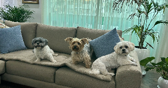 yasmine pet sitter à PARIS 10 75010_2