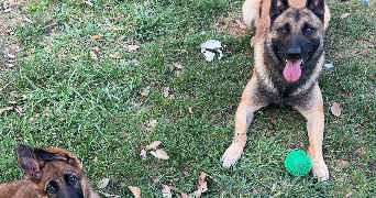 marie pet sitter à NANTERRE 92000_3