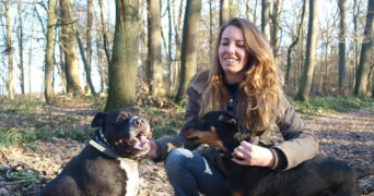 astrid pet sitter à BEAUVAIS 60000_0