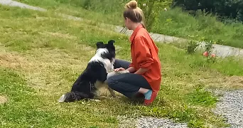 fleur pet sitter à LYON 01 69001