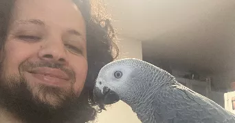 mohammed pet sitter à LE BLANC MESNIL 93150