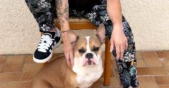océane pet sitter à CHABLIS 89800