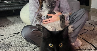 delphine pet sitter à NICE 06000_6