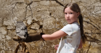 laura pet sitter à VERNOUILLET 78540_2