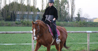 oriane pet sitter à SOUFFELWEYERSHEIM 67460_2