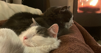 léa pet sitter à MONTROUGE 92120_1