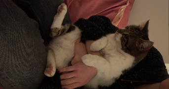 emma pet sitter à AIX EN PROVENCE 13100_2