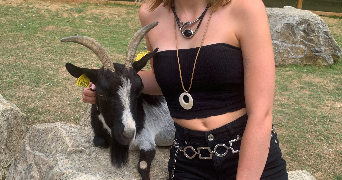 lisa pet sitter à TOURCOING 59200_4