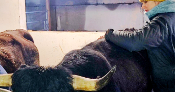 jeanne pet sitter à CHAMBERY 73000_6