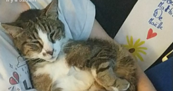 mathilde pet sitter à MEYLAN 38240_1