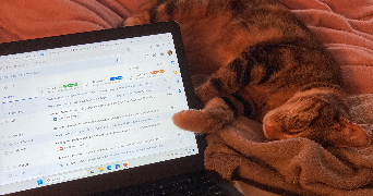 luna pet sitter à CACHAN 94230_5