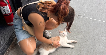 pauline pet sitter à ST GERMAIN SUR MORIN 77860_1