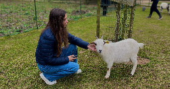 hortense pet sitter à CESSON SEVIGNE 35510_2