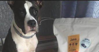 jessika pet sitter à LE HAVRE 76620_2