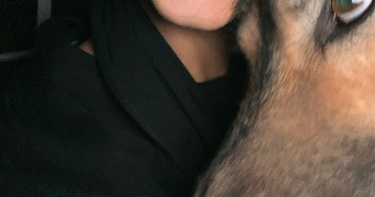 hiba pet sitter à TOULOUSE 31400_7