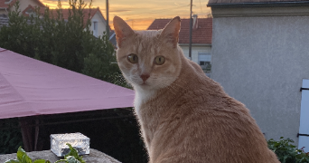 julia pet sitter à PARIS 75013_2