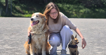 morgane pet sitter à COUZEIX 87270_1