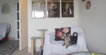 celine pet sitter à LANGEAIS 37130_1