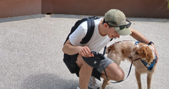 lucas pet sitter à VILLEURBANNE 69100_1