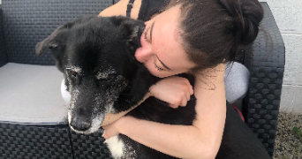 clara pet sitter à LA REGRIPPIERE 44330_2