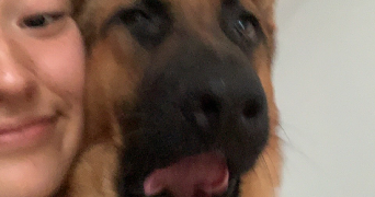 kazuhi pet sitter à MARSEILLE 07 13007_5